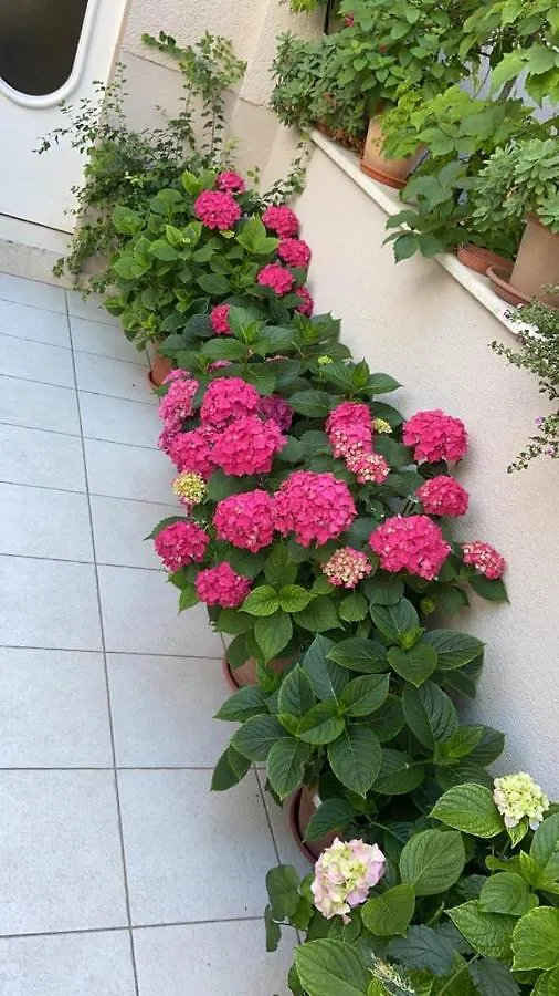 Apartment Pearl Of Split
